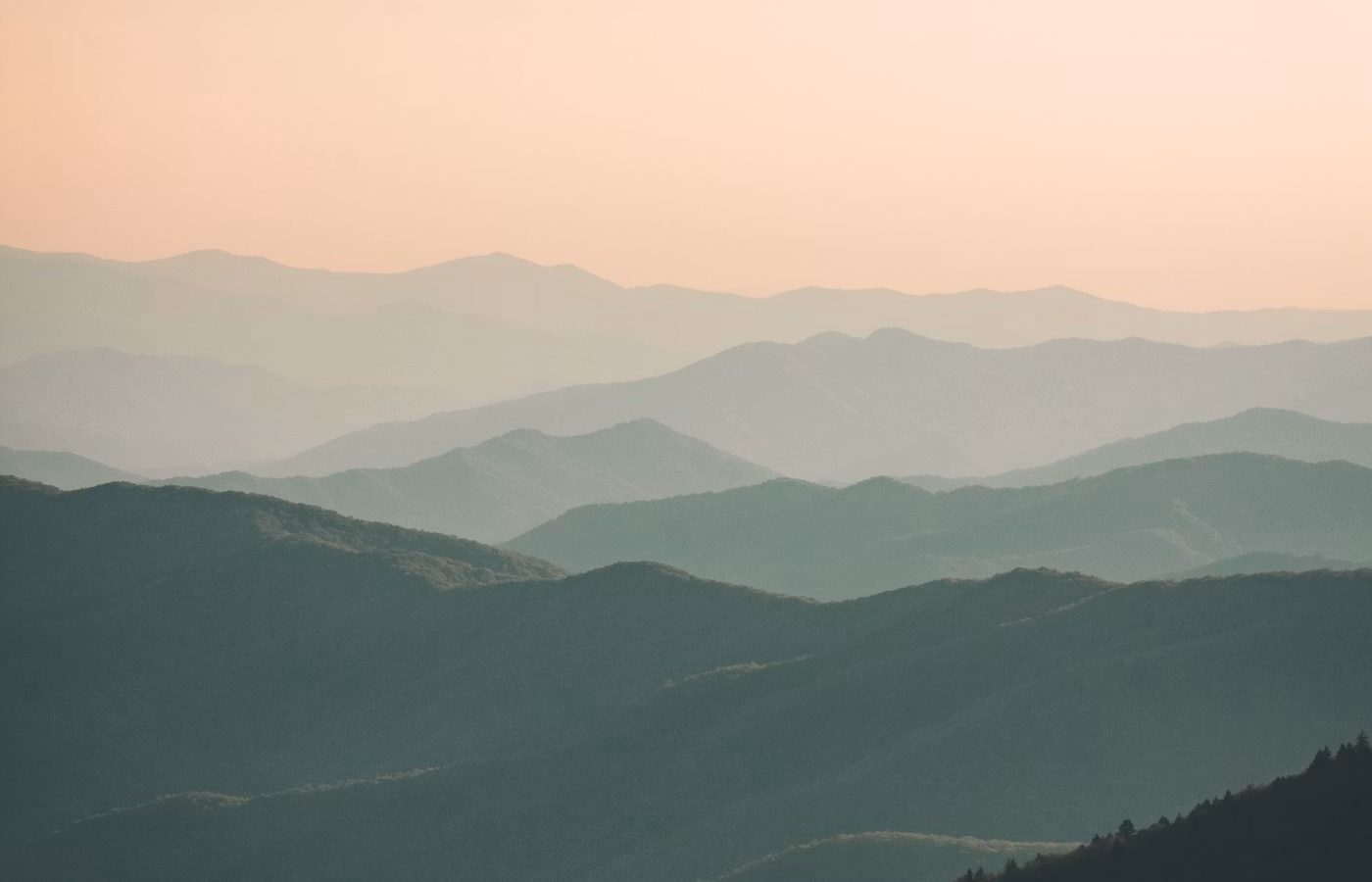 Внутренний голос для эксперта